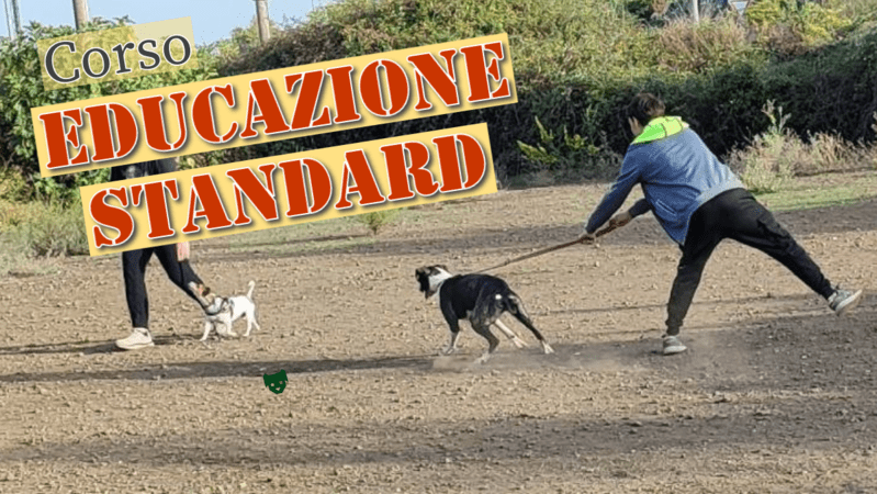 Percorso Educazione Standard