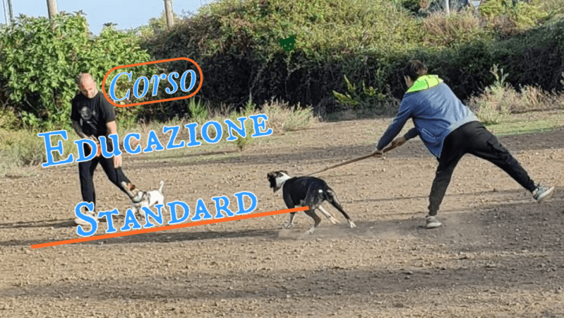 Percorso Educazione Standard